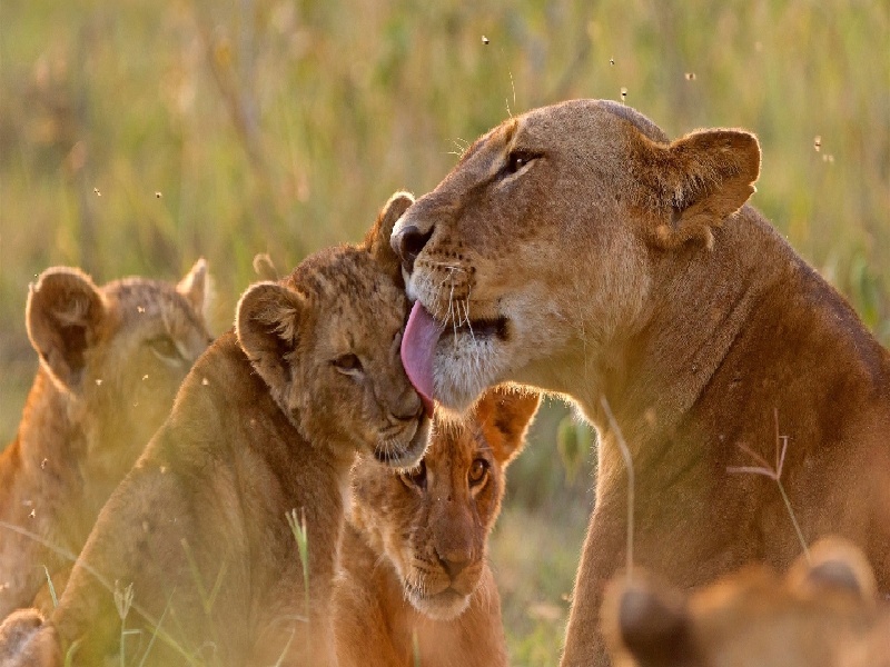 沈阳试管HGc6.64（杨妹试管怀孕）