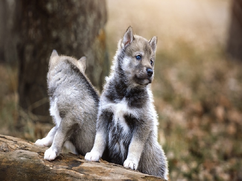 沈阳试管做几代好,2024年沈阳脆性x染色体综合症费用（试管移植后会怕冷吗）